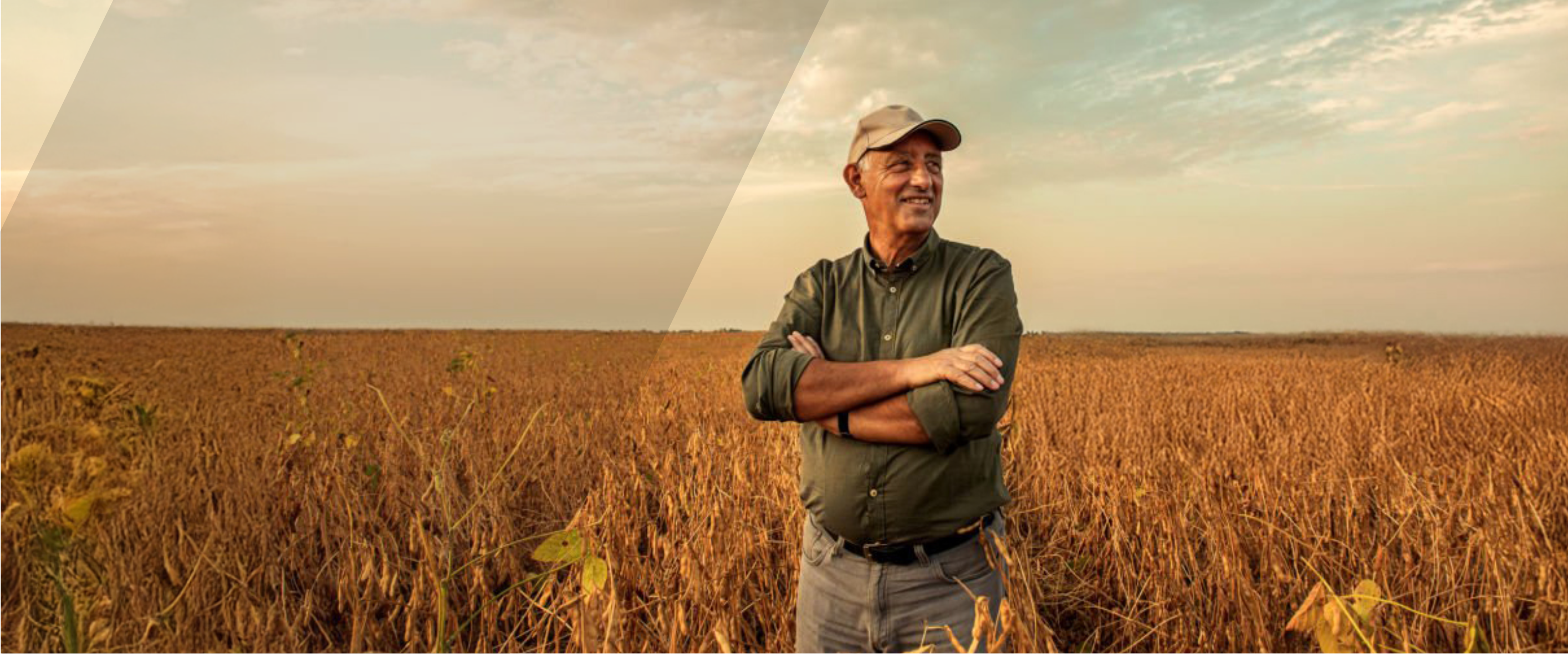 Fondo productor agrícola